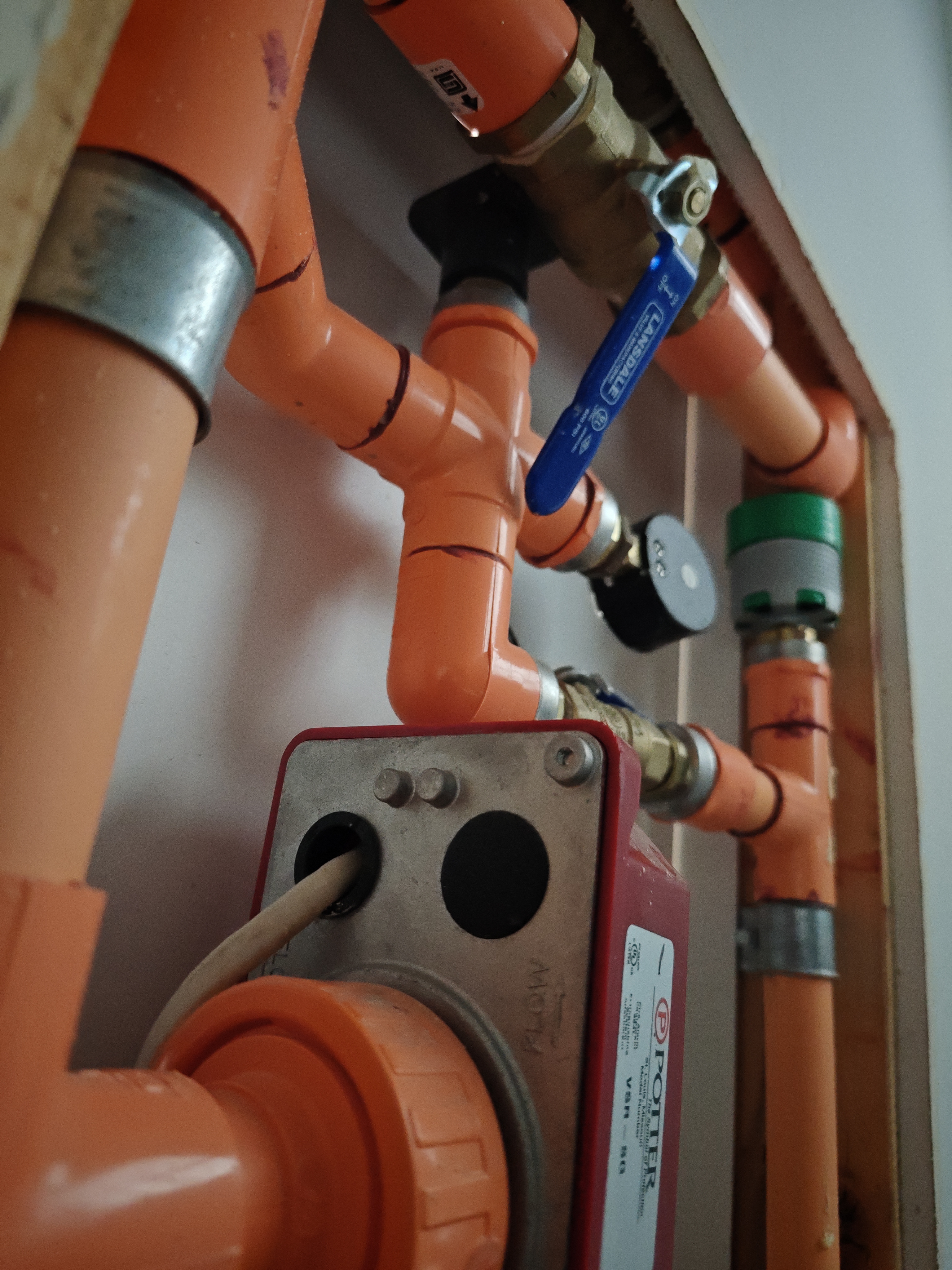 Orange fire sprinkler piping installed across a framed ceiling area