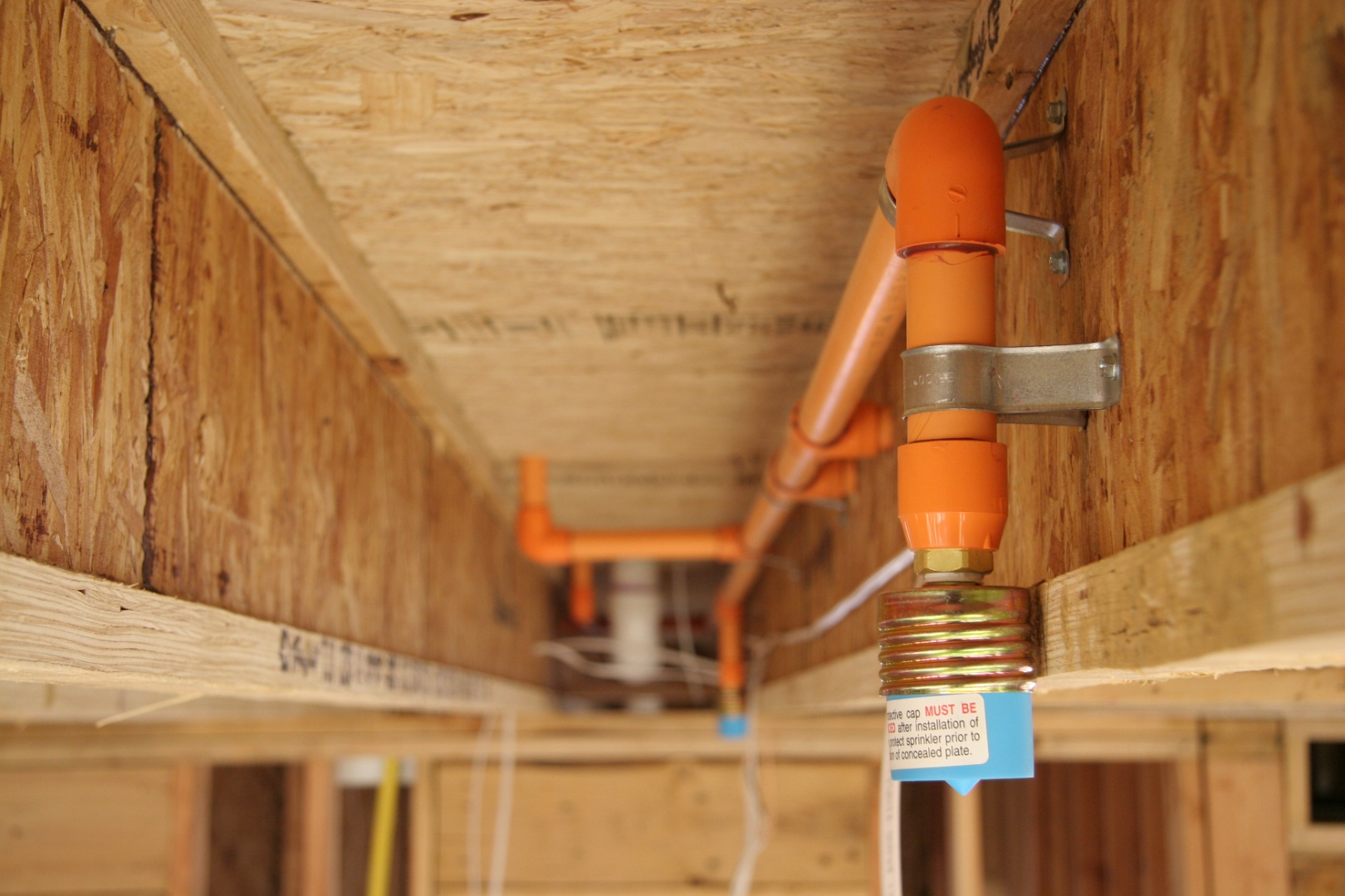Close-up of a CPVC fire sprinkler head installation inside wall framing